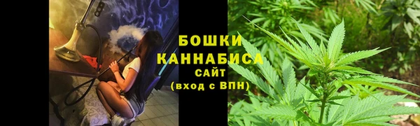 ГАЛЛЮЦИНОГЕННЫЕ ГРИБЫ Покров