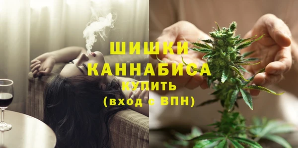 гидропоника Богородицк