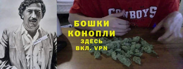 стафф Богородск