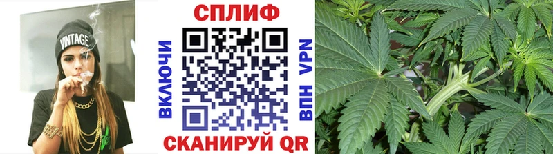 Марихуана планчик  Купить закладки  Алушта 